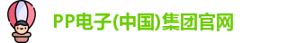 pp电子试玩